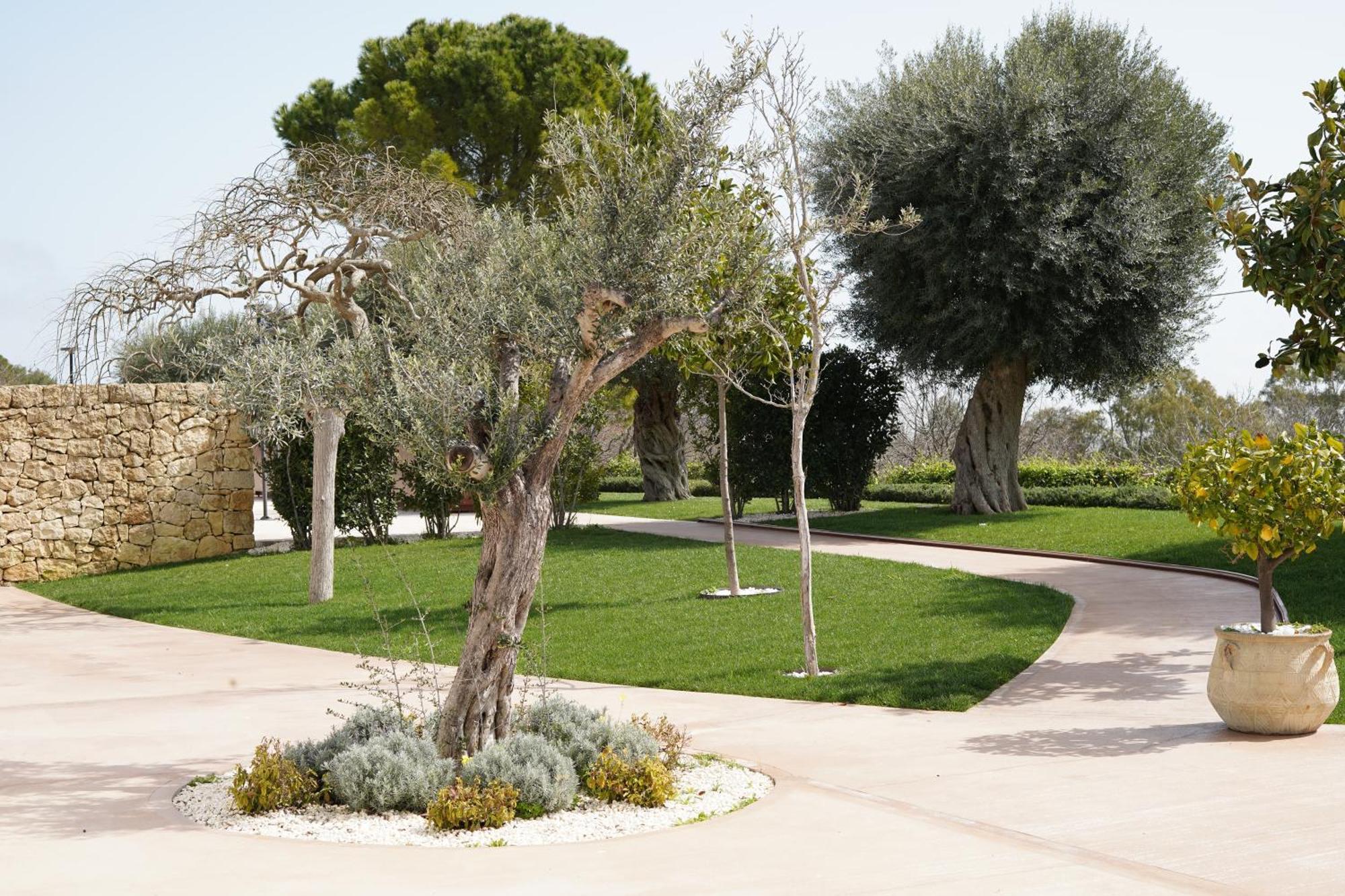 Tenuta San Marco Noto Luaran gambar
